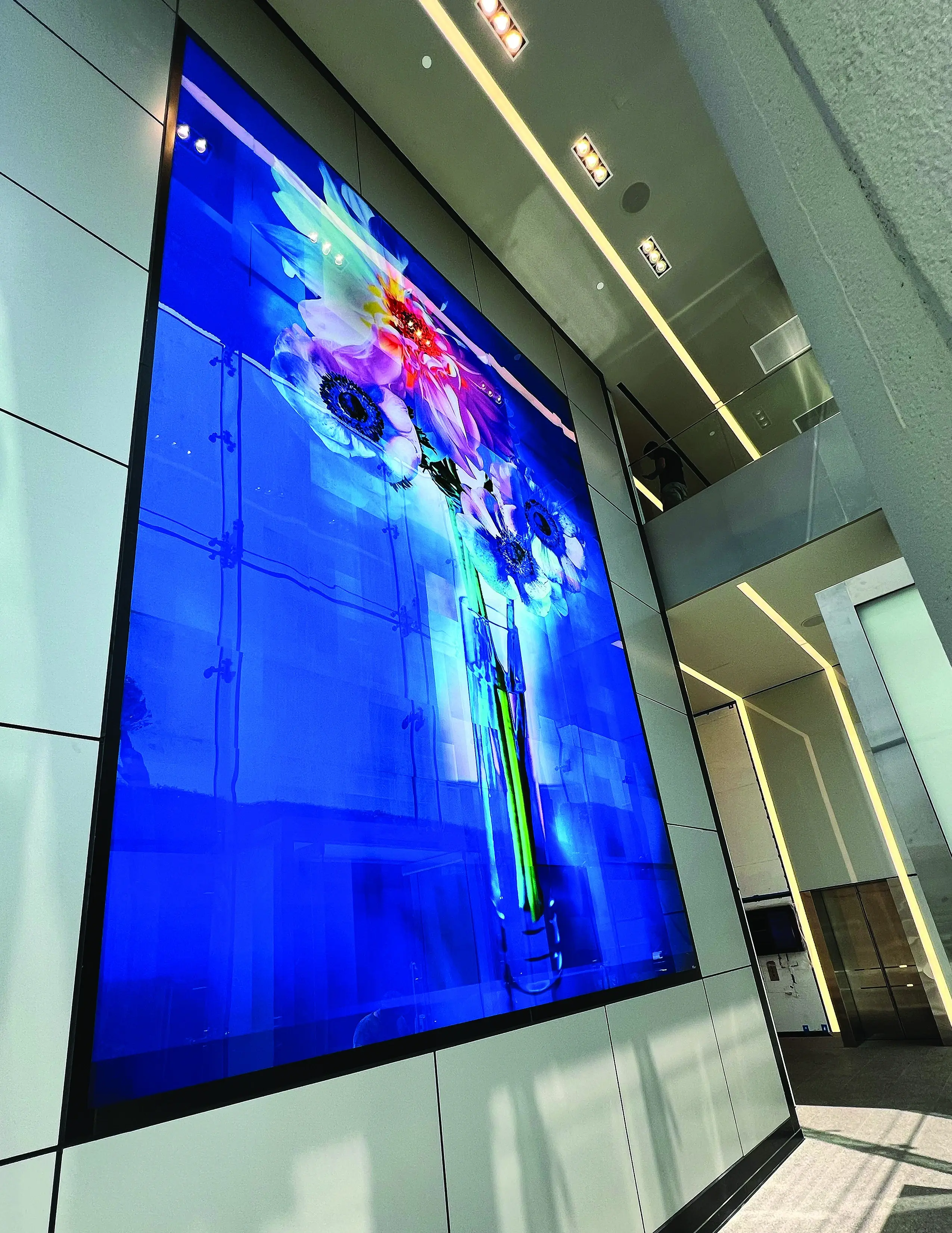 Signage & Graphics