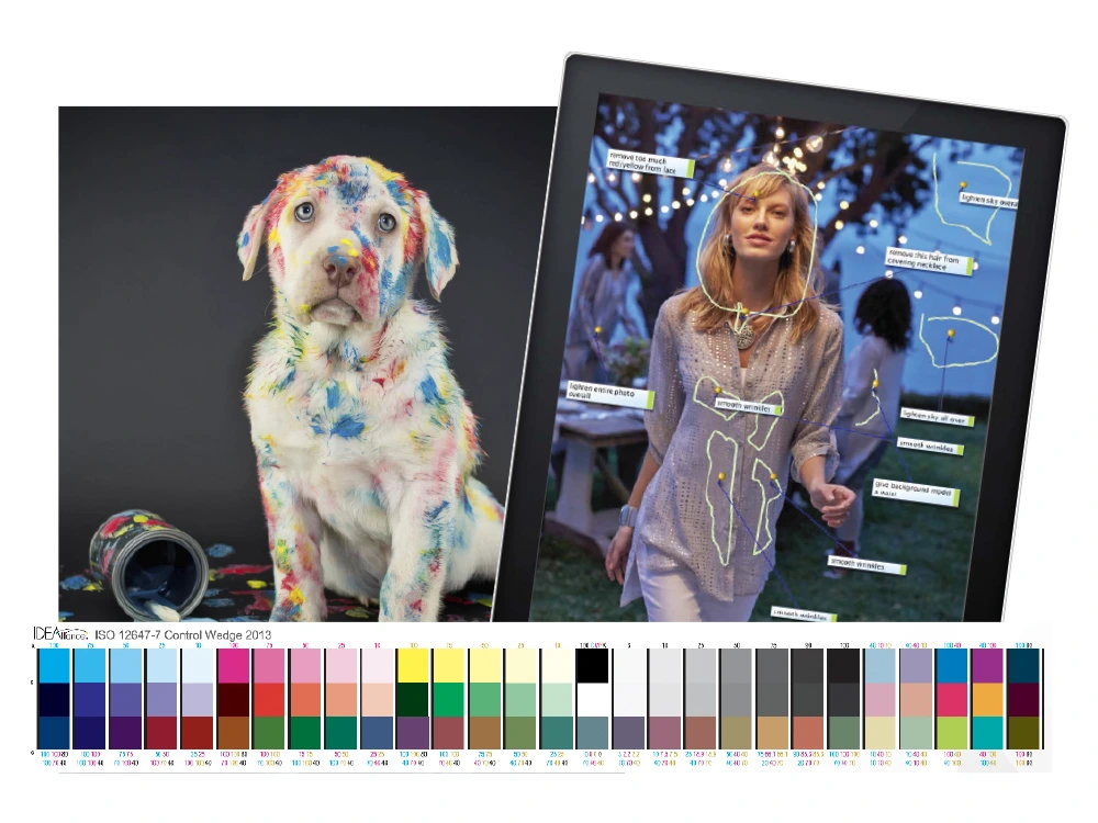 artisan-colour-web-digital-asset-management